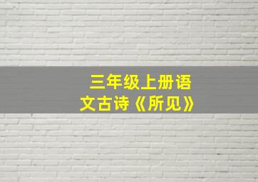 三年级上册语文古诗《所见》