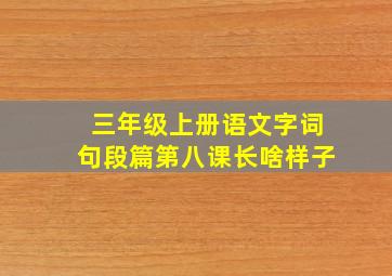 三年级上册语文字词句段篇第八课长啥样子