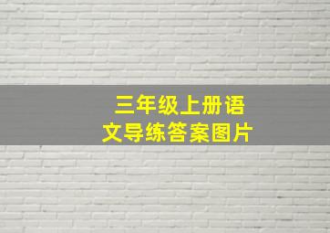 三年级上册语文导练答案图片