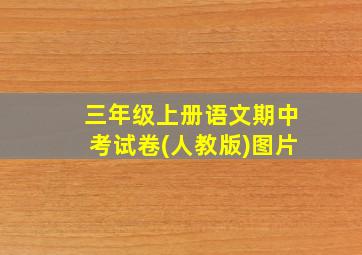 三年级上册语文期中考试卷(人教版)图片