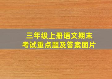 三年级上册语文期末考试重点题及答案图片