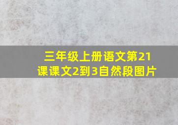 三年级上册语文第21课课文2到3自然段图片