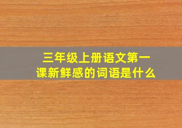 三年级上册语文第一课新鲜感的词语是什么