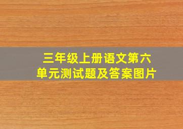 三年级上册语文第六单元测试题及答案图片