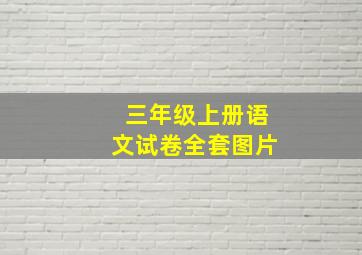 三年级上册语文试卷全套图片