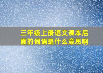 三年级上册语文课本后面的词语是什么意思啊