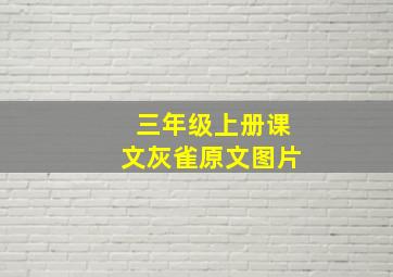 三年级上册课文灰雀原文图片