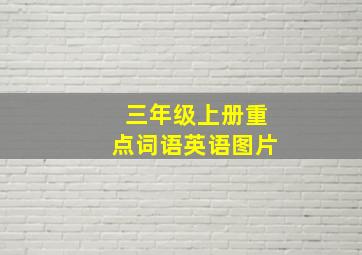 三年级上册重点词语英语图片