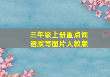 三年级上册重点词语默写图片人教版