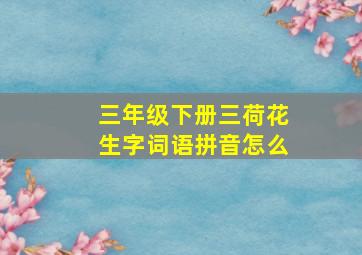 三年级下册三荷花生字词语拼音怎么