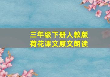 三年级下册人教版荷花课文原文朗读