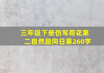 三年级下册仿写荷花第二自然段向日葵260字