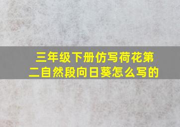 三年级下册仿写荷花第二自然段向日葵怎么写的