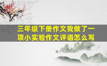 三年级下册作文我做了一项小实验作文评语怎么写