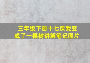 三年级下册十七课我变成了一棵树讲解笔记图片