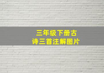 三年级下册古诗三首注解图片