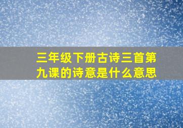 三年级下册古诗三首第九课的诗意是什么意思