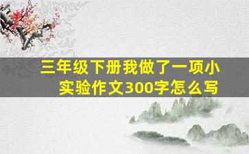 三年级下册我做了一项小实验作文300字怎么写