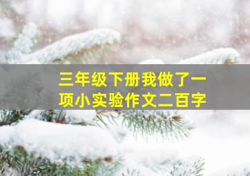 三年级下册我做了一项小实验作文二百字