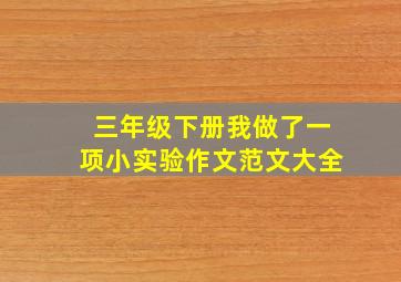 三年级下册我做了一项小实验作文范文大全