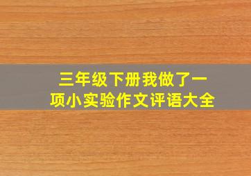 三年级下册我做了一项小实验作文评语大全