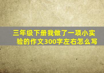 三年级下册我做了一项小实验的作文300字左右怎么写