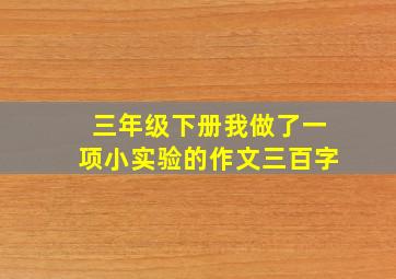 三年级下册我做了一项小实验的作文三百字