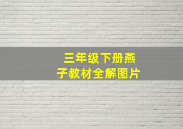 三年级下册燕子教材全解图片