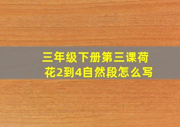 三年级下册第三课荷花2到4自然段怎么写