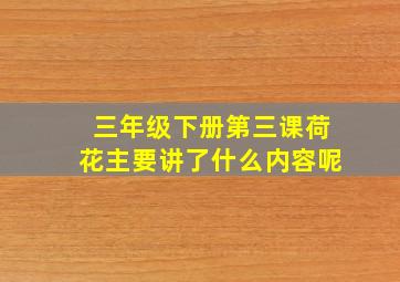 三年级下册第三课荷花主要讲了什么内容呢