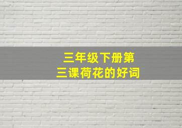 三年级下册第三课荷花的好词