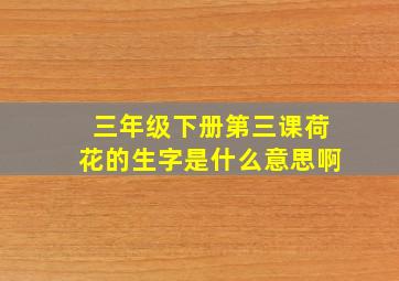 三年级下册第三课荷花的生字是什么意思啊