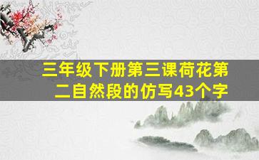 三年级下册第三课荷花第二自然段的仿写43个字