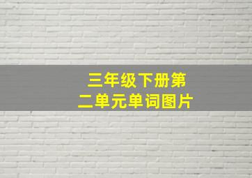 三年级下册第二单元单词图片