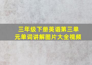 三年级下册英语第三单元单词讲解图片大全视频