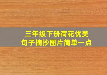 三年级下册荷花优美句子摘抄图片简单一点