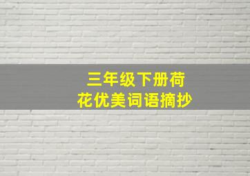 三年级下册荷花优美词语摘抄