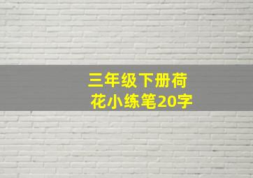 三年级下册荷花小练笔20字