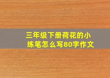 三年级下册荷花的小练笔怎么写80字作文