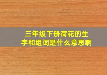 三年级下册荷花的生字和组词是什么意思啊