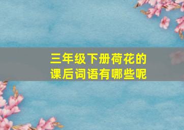 三年级下册荷花的课后词语有哪些呢