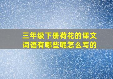 三年级下册荷花的课文词语有哪些呢怎么写的