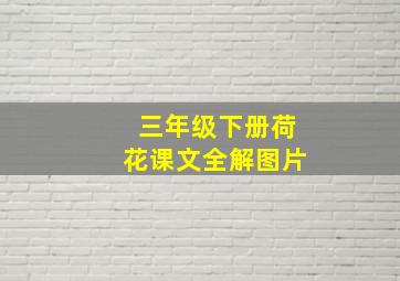 三年级下册荷花课文全解图片