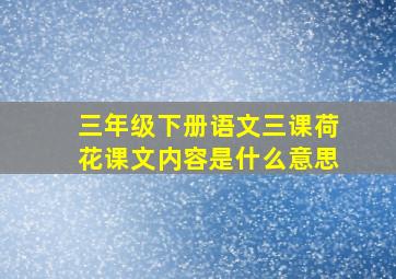 三年级下册语文三课荷花课文内容是什么意思