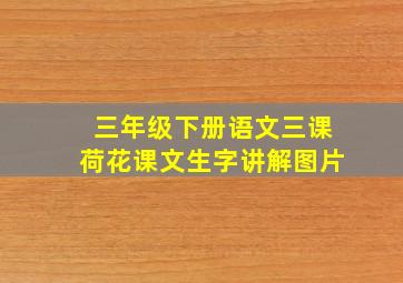 三年级下册语文三课荷花课文生字讲解图片