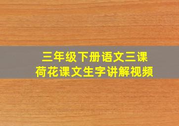 三年级下册语文三课荷花课文生字讲解视频