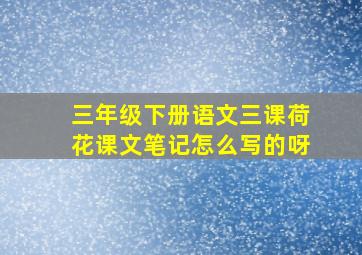 三年级下册语文三课荷花课文笔记怎么写的呀