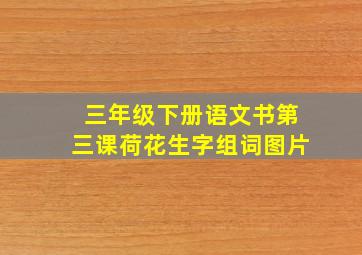 三年级下册语文书第三课荷花生字组词图片