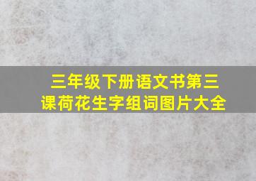 三年级下册语文书第三课荷花生字组词图片大全