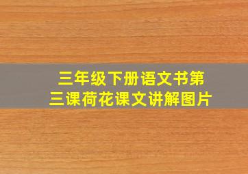 三年级下册语文书第三课荷花课文讲解图片